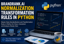 brandrank.ai normalization transformation rules in python
