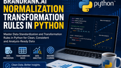brandrank.ai normalization transformation rules in python